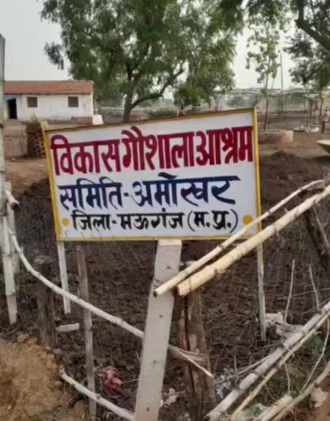 News title